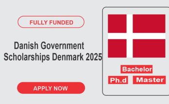 Danish Government Scholarships