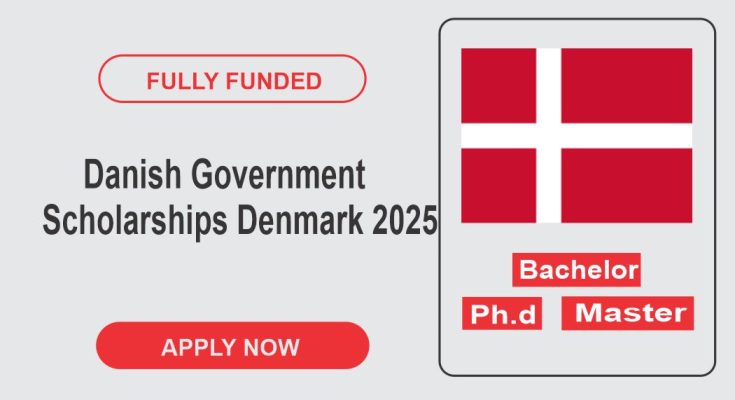 Danish Government Scholarships