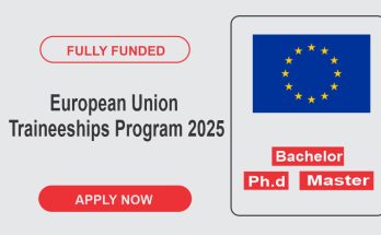 EU Traineeships