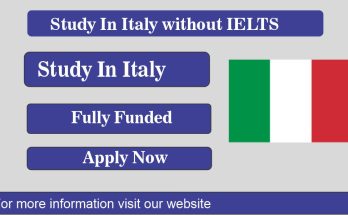 Italy Scholarships